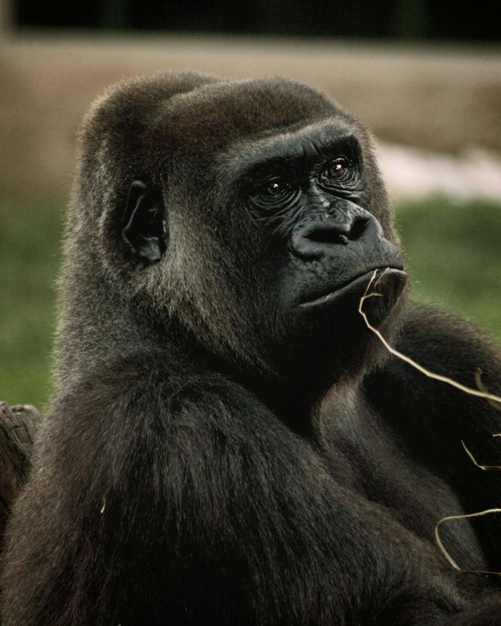 This Will Make You Think Twice About Your Mutual&nbsp;Funds